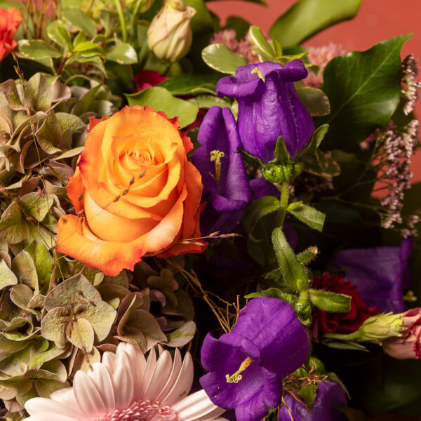 Auf roten Hiintergrund ein Blumenstrauss mit orangen, violetten, rosafarbenen Blüten sowie Blattgrün.
